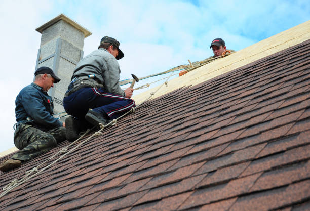 Roof Waterproofing Services in Willow, AK